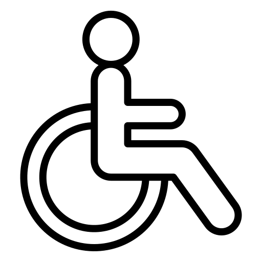 Discapacitat motriu