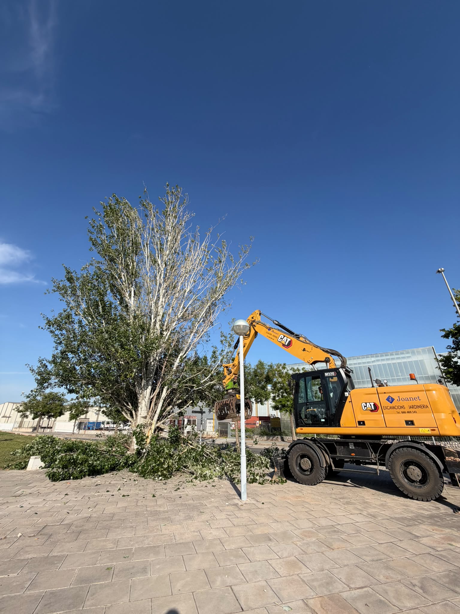 Vila-seca inicia la renovació de l’arbrat del Parc Tecnològic l’Alba amb el suport de la Diputació de Tarragona