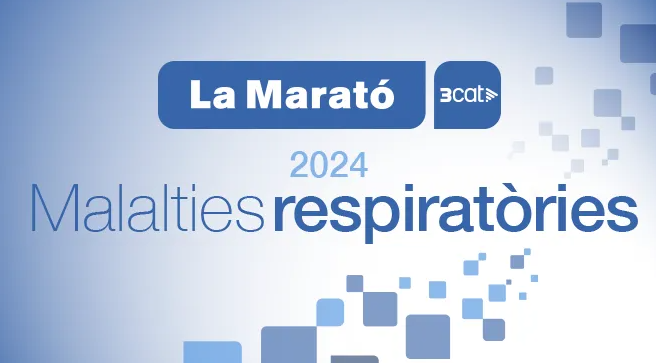 marató tv3 2024.jpg